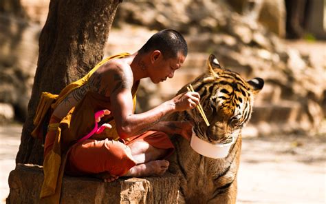 屬虎的人喜歡運動的動物有哪些？